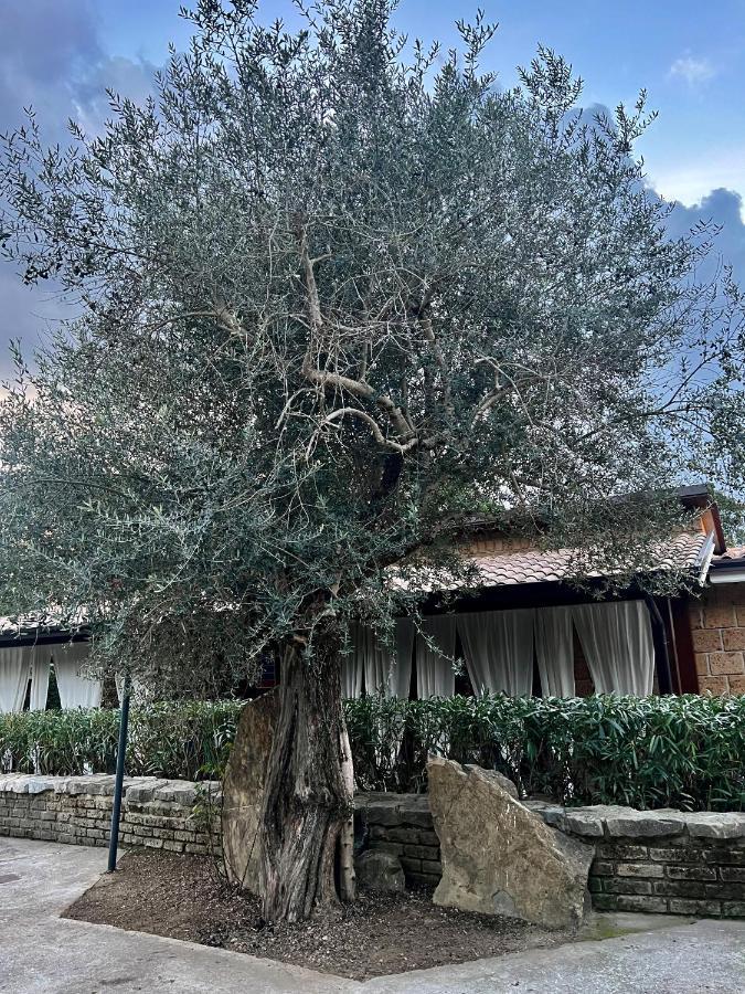 Agriturismo a casa di Susanna Santo Stefano del Sole Bagian luar foto
