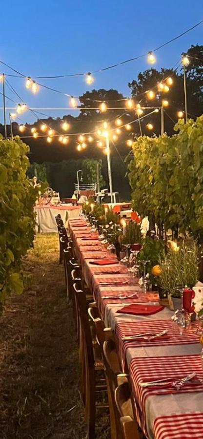 Agriturismo a casa di Susanna Santo Stefano del Sole Bagian luar foto