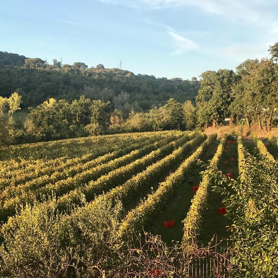 Agriturismo a casa di Susanna Santo Stefano del Sole Bagian luar foto