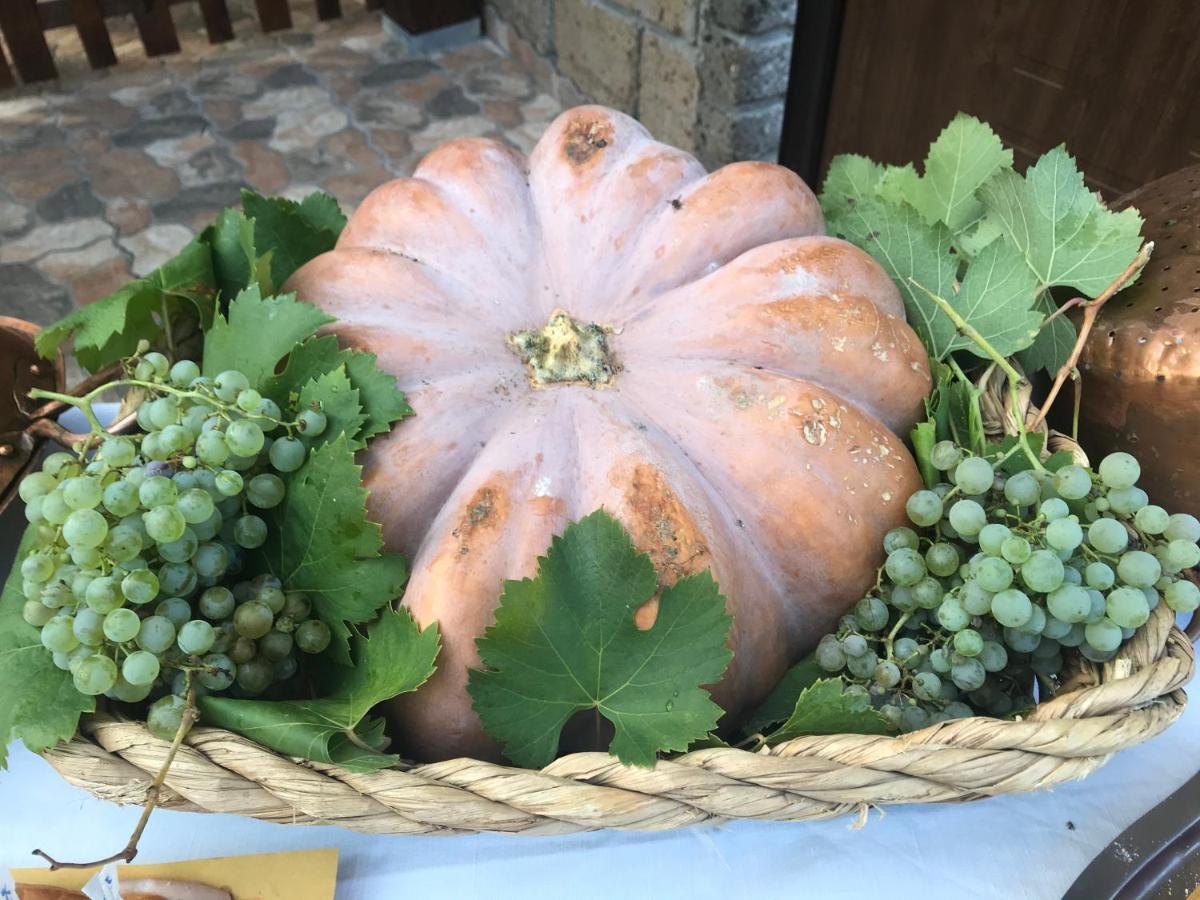Agriturismo a casa di Susanna Santo Stefano del Sole Bagian luar foto